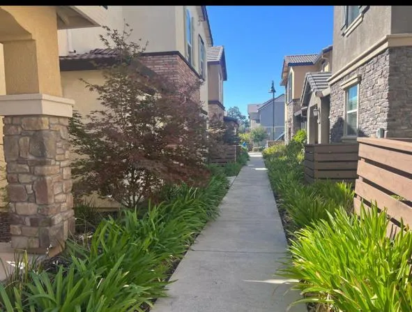 a view of a pathway both side of the house