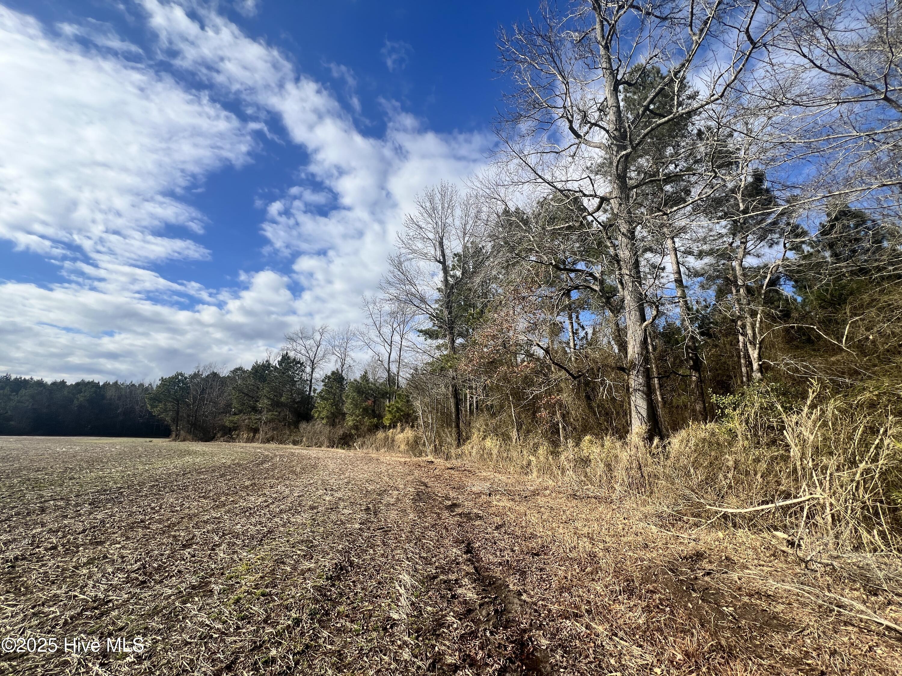 0 Daniels Road Corapeake, NC 27926 - Photo 43 of 46 7