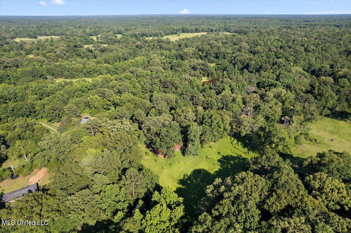 5285 Adams Station Road Edwards, MS 39066 - Photo 9 of 23 04-DJI_0097