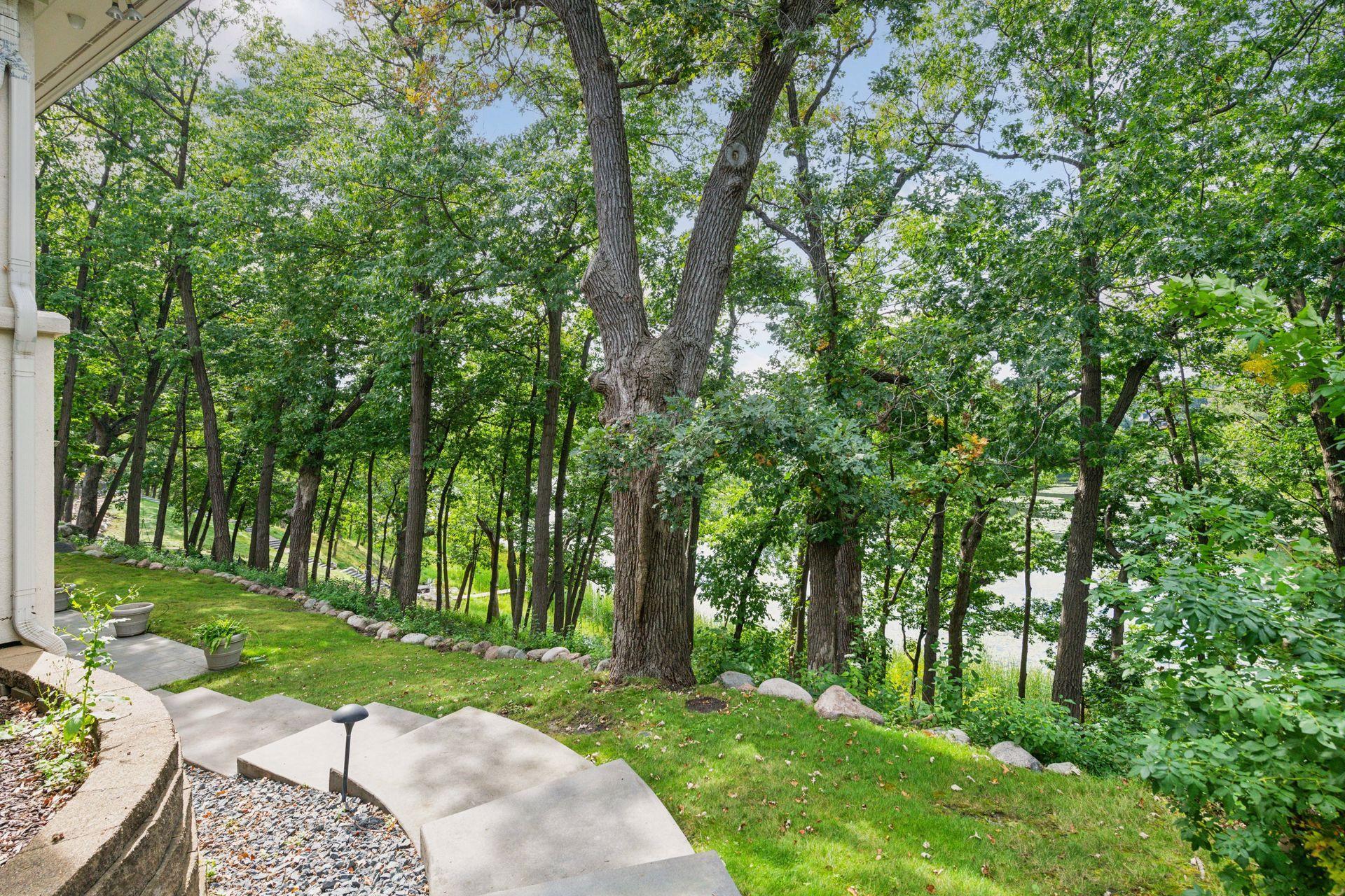 6314 McIntyre Point Edina, MN 55439 - Photo 14 of 77