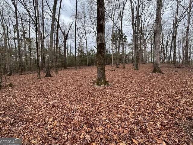 $275,000 | 0 Sunset Drive, Locust Grove, GA 30248