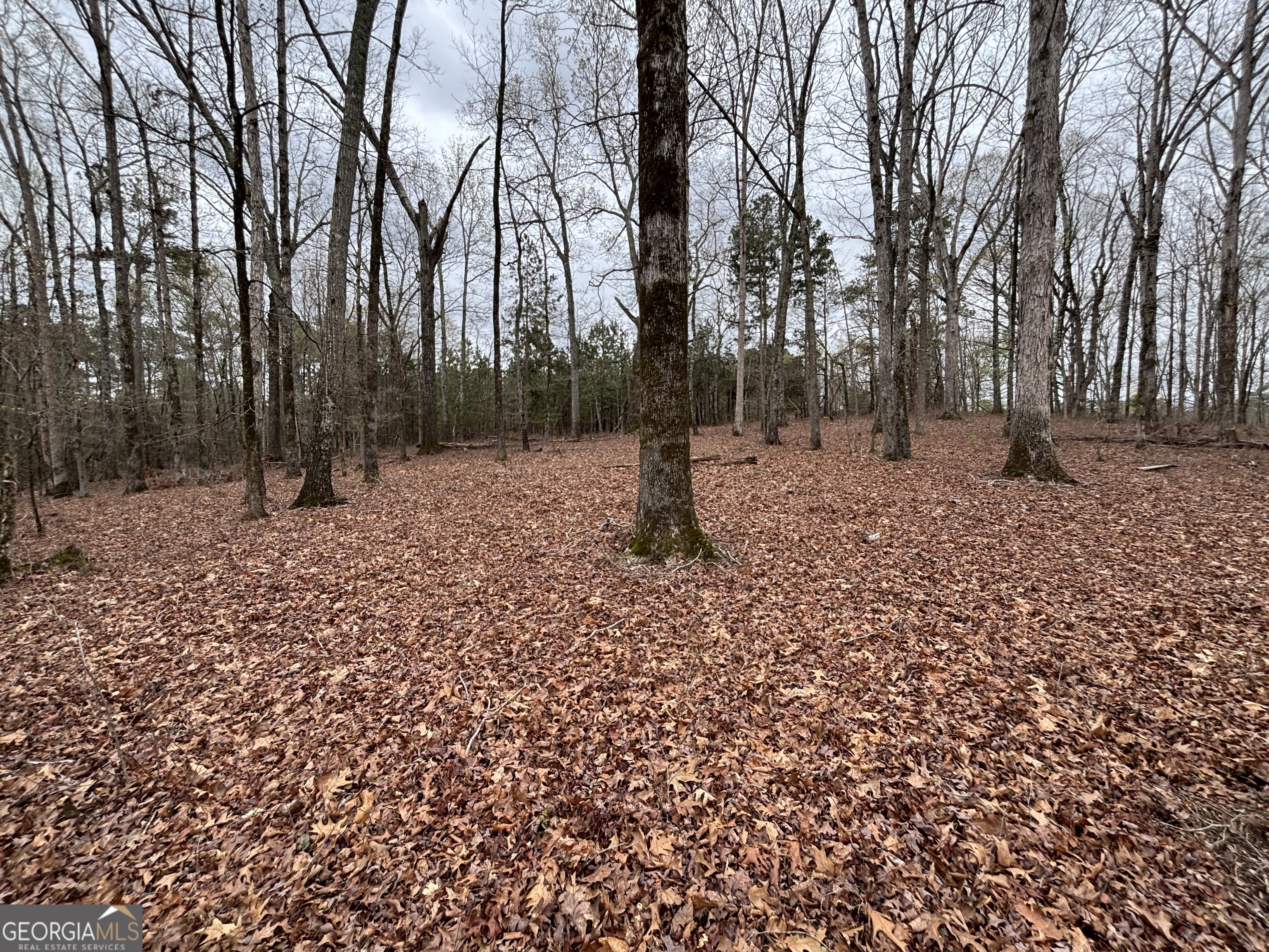 0 Sunset Drive Locust Grove, GA 30248 - Photo 11 of 19