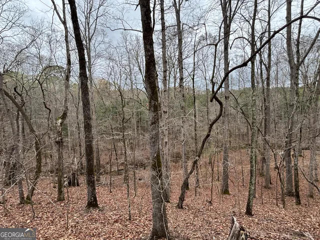 $275,000 | 0 Sunset Drive, Locust Grove, GA 30248