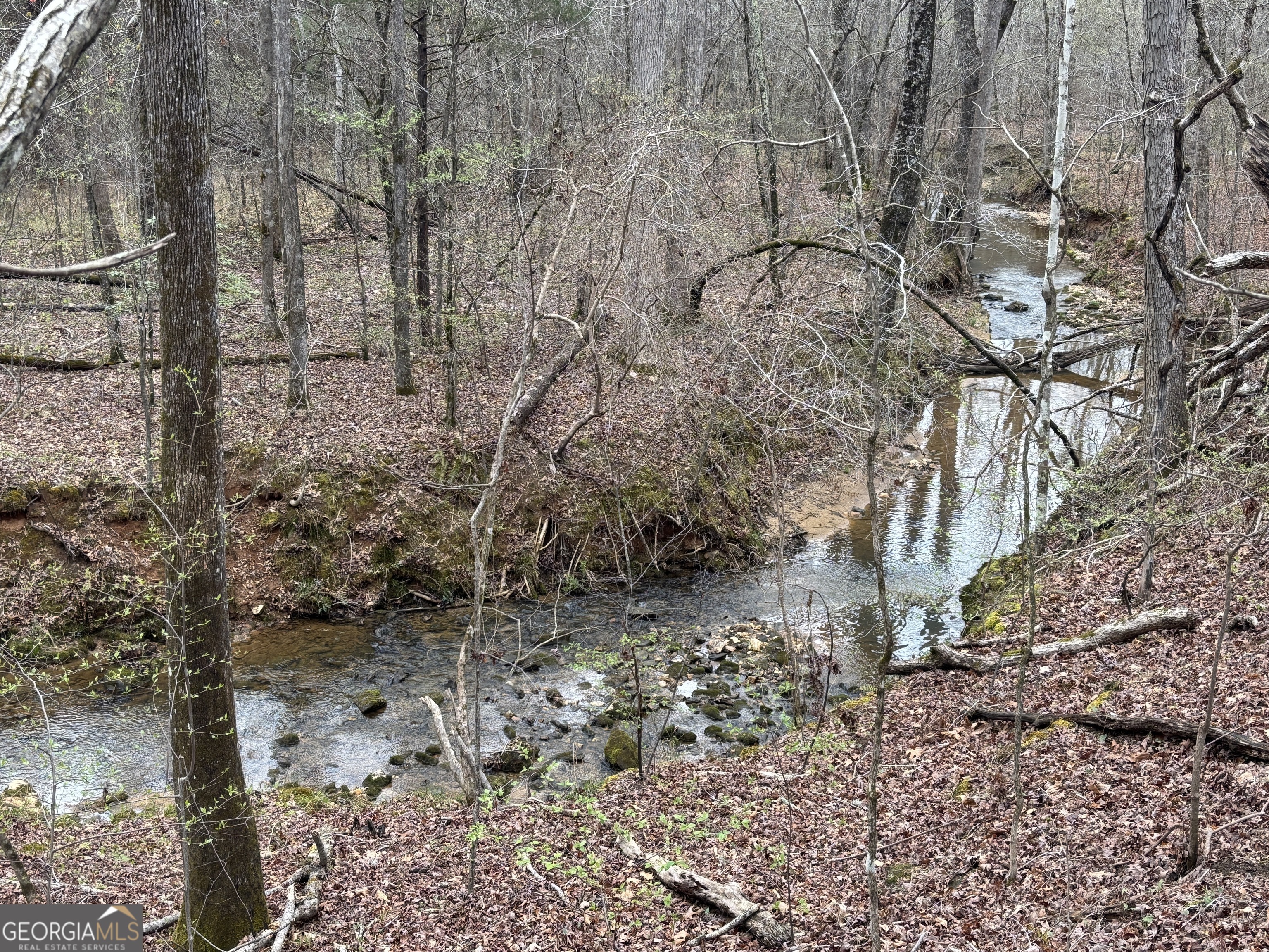 0 Sunset Drive Locust Grove, GA 30248 - Photo 13 of 19