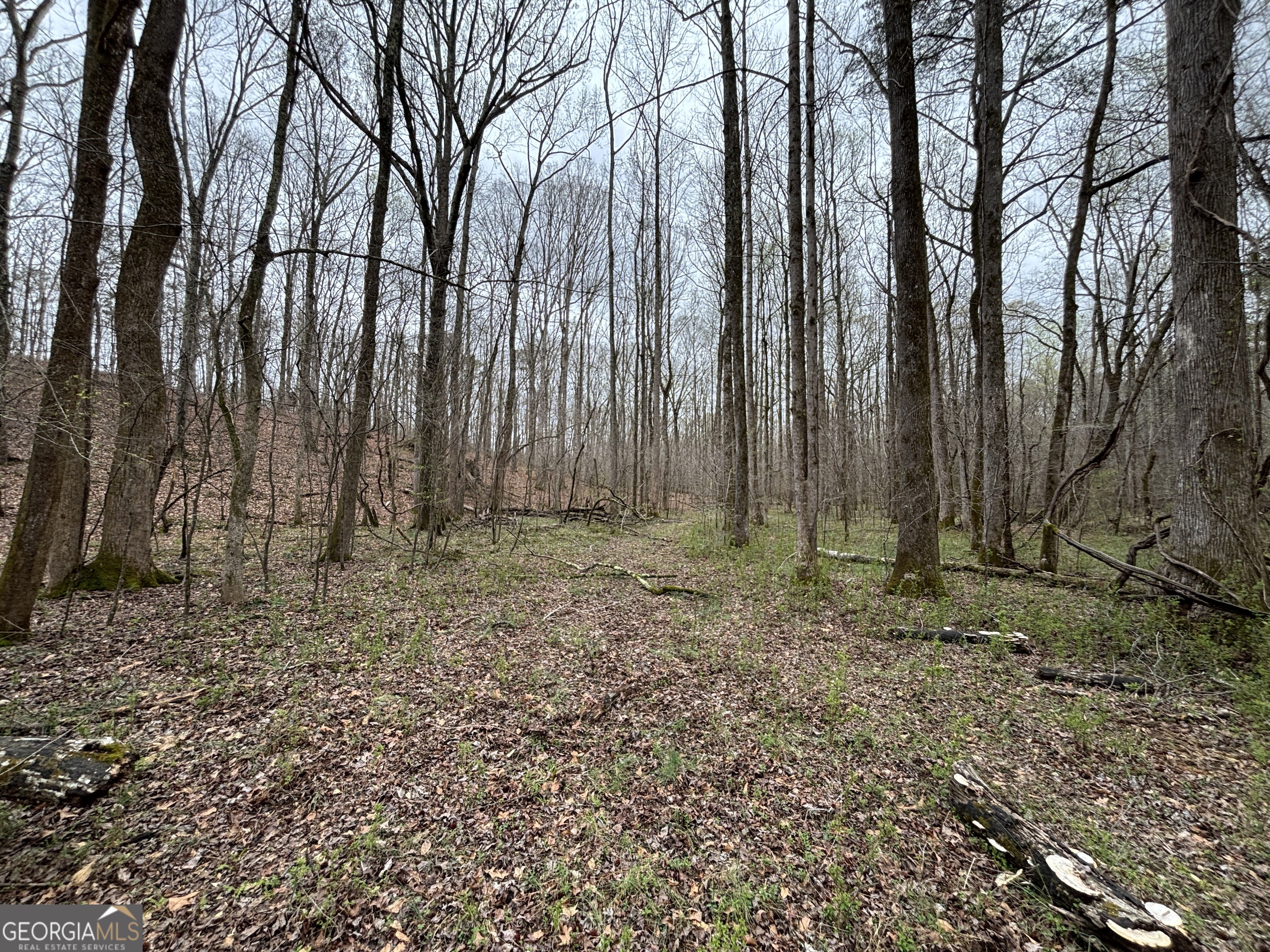 0 Sunset Drive Locust Grove, GA 30248 - Photo 14 of 19