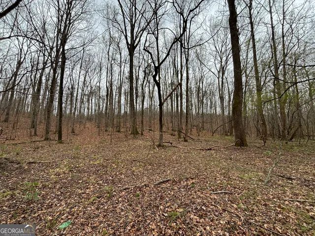 $275,000 | 0 Sunset Drive, Locust Grove, GA 30248