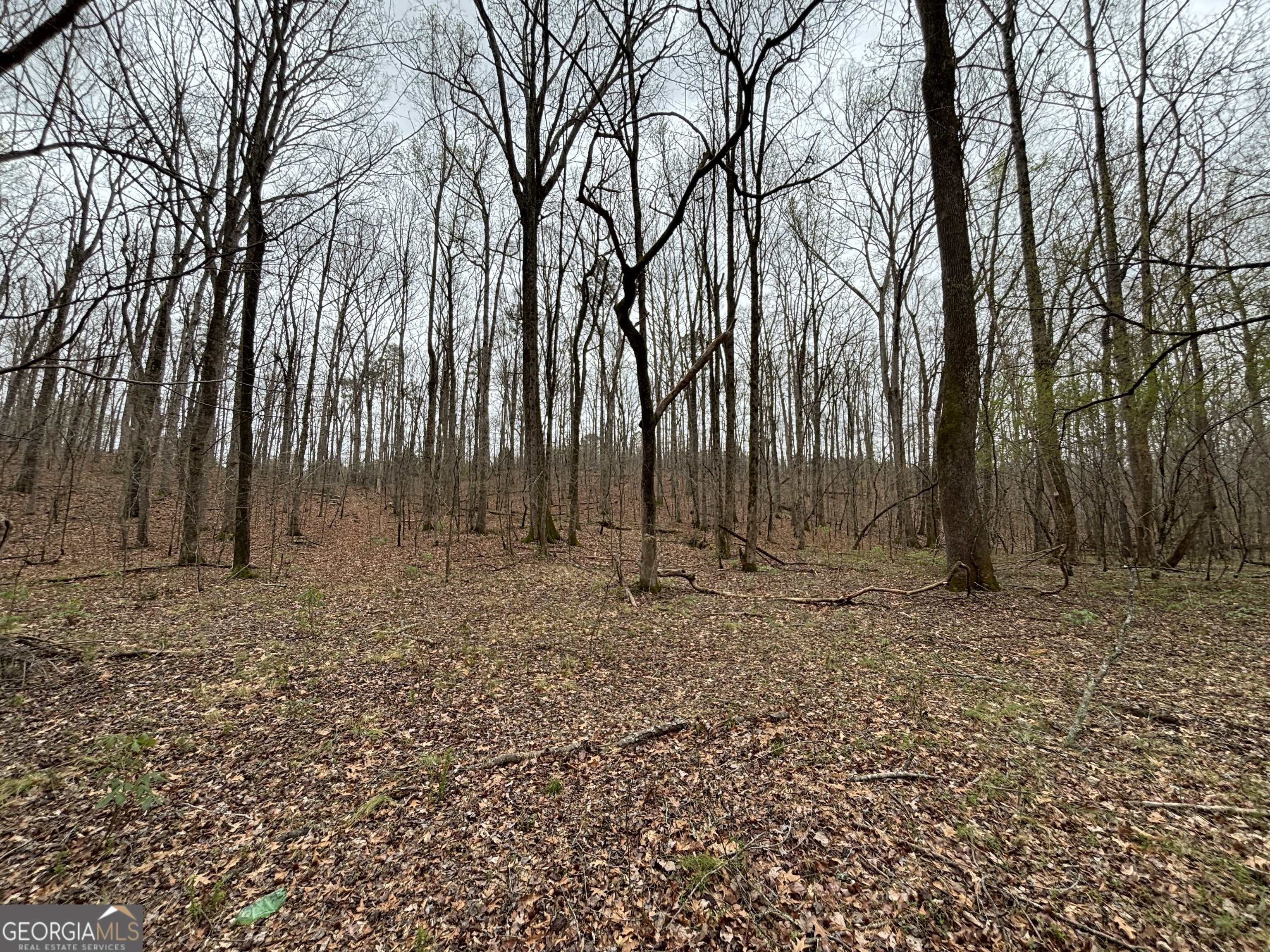 0 Sunset Drive Locust Grove, GA 30248 - Photo 15 of 19