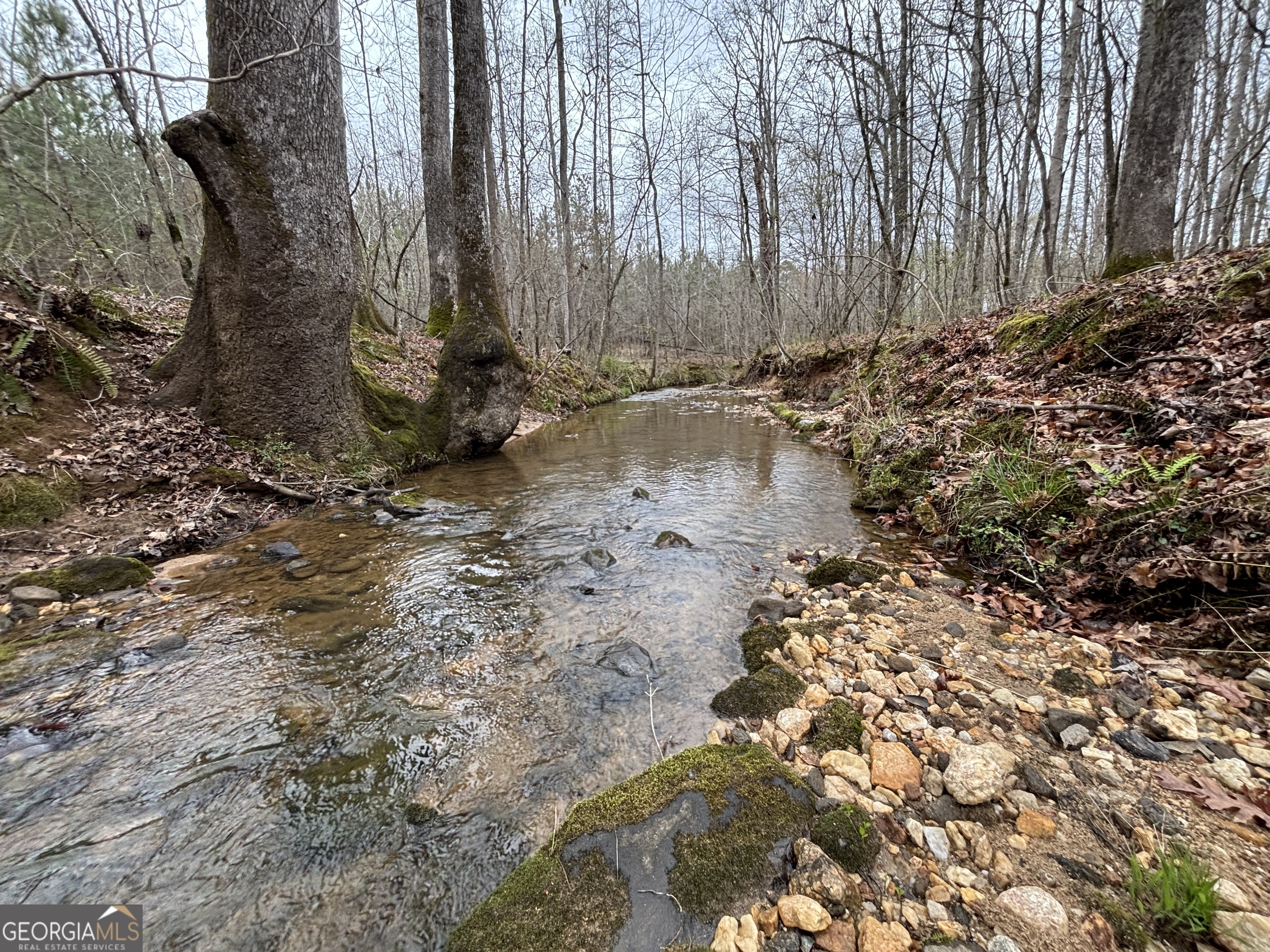 0 Sunset Drive Locust Grove, GA 30248 - Photo 16 of 19