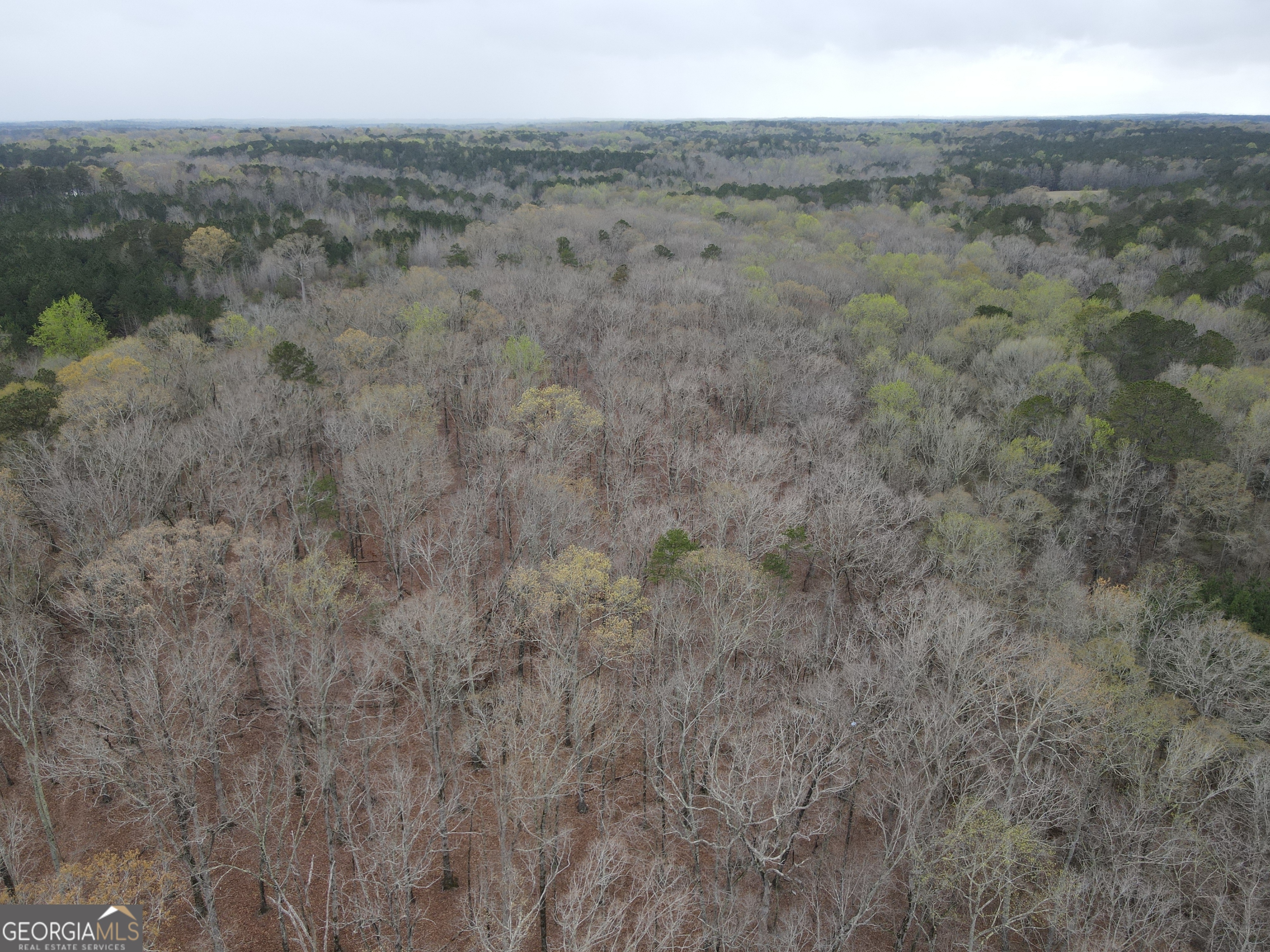 0 Sunset Drive Locust Grove, GA 30248 - Photo 2 of 19