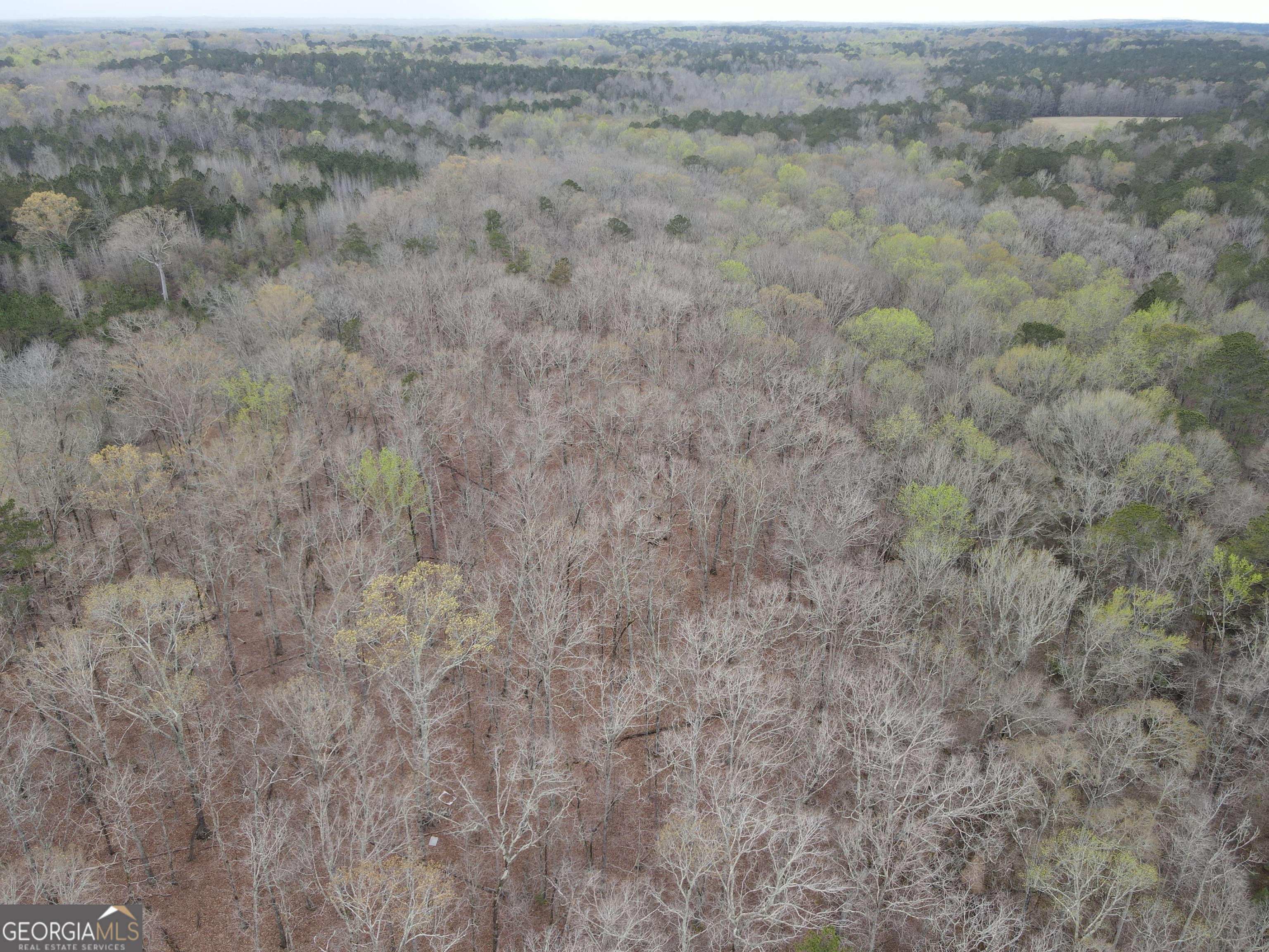 0 Sunset Drive Locust Grove, GA 30248 - Photo 3 of 19