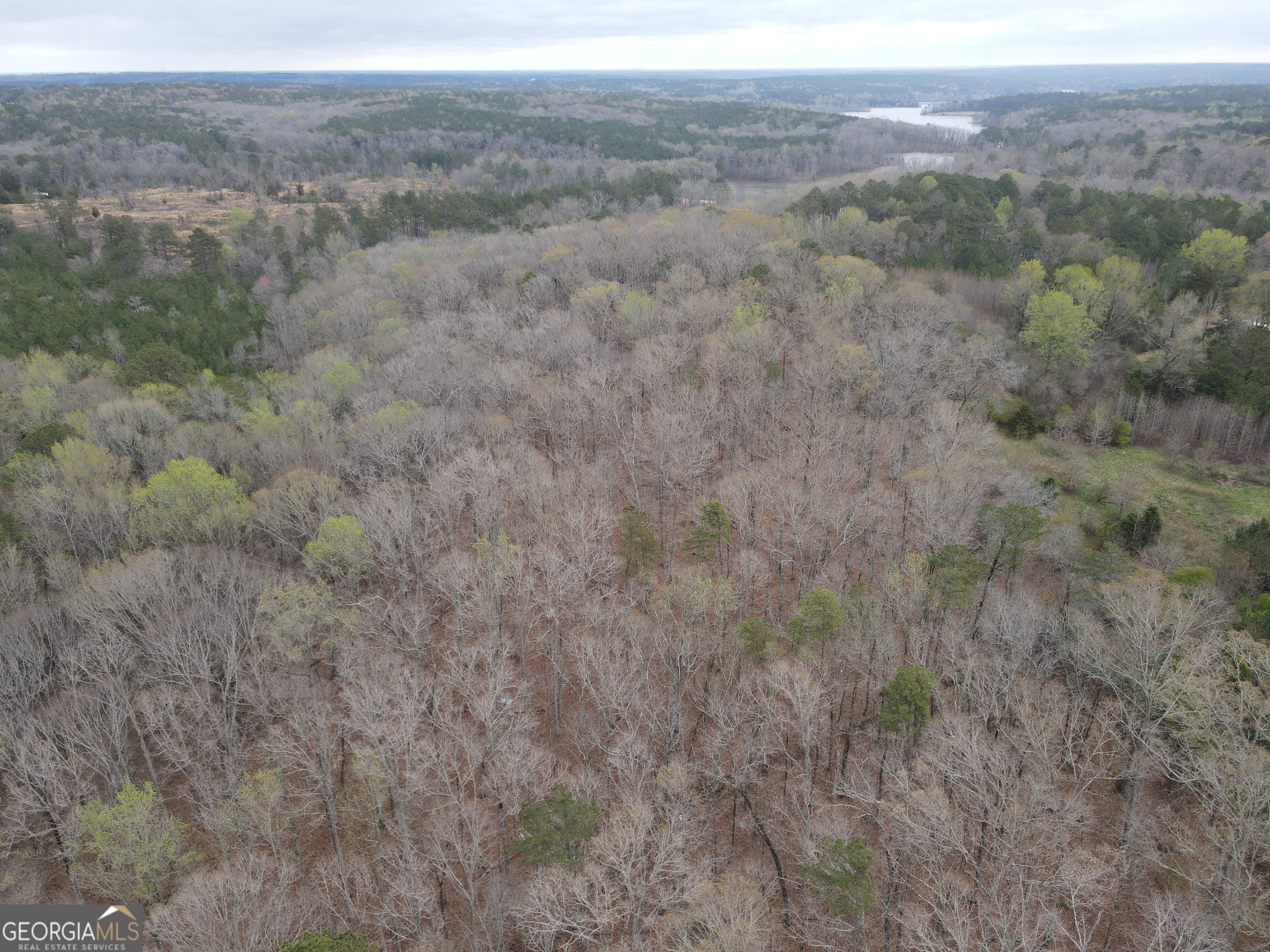 0 Sunset Drive Locust Grove, GA 30248 - Photo 4 of 19
