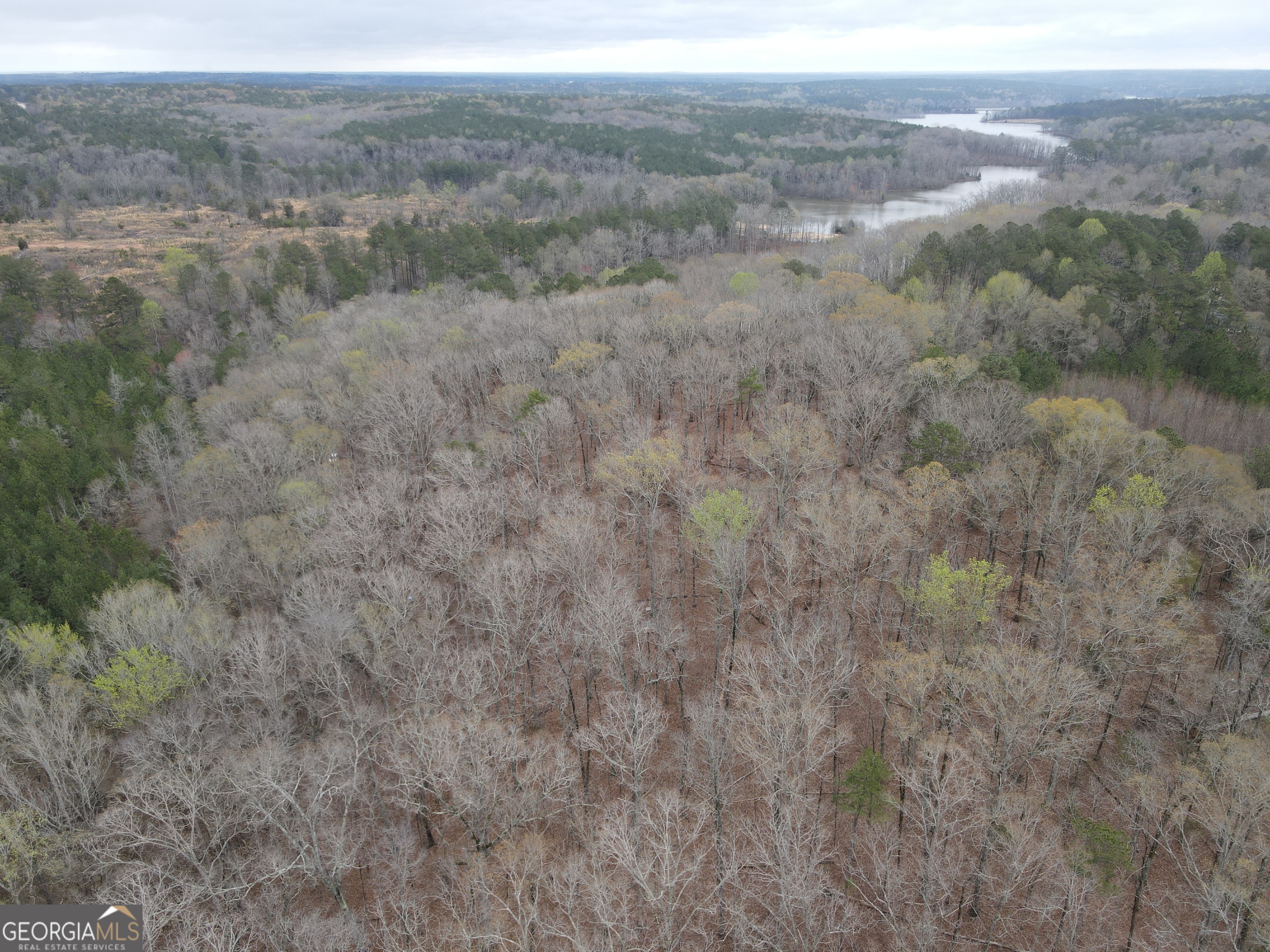 0 Sunset Drive Locust Grove, GA 30248 - Photo 5 of 19