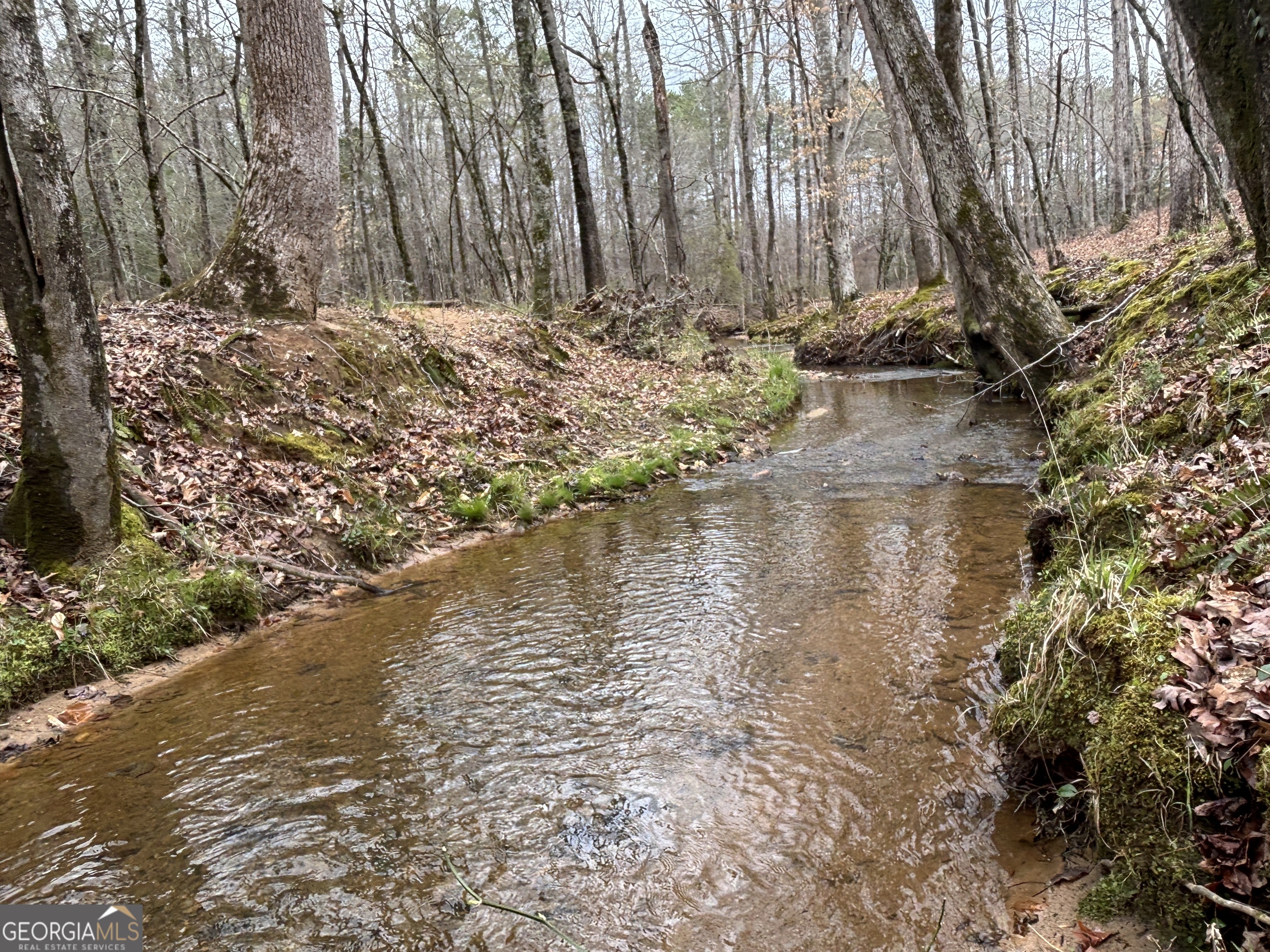 0 Sunset Drive Locust Grove, GA 30248 - Photo 7 of 19
