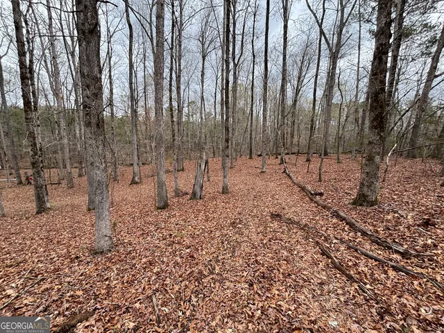 $275,000 | 0 Sunset Drive, Locust Grove, GA 30248