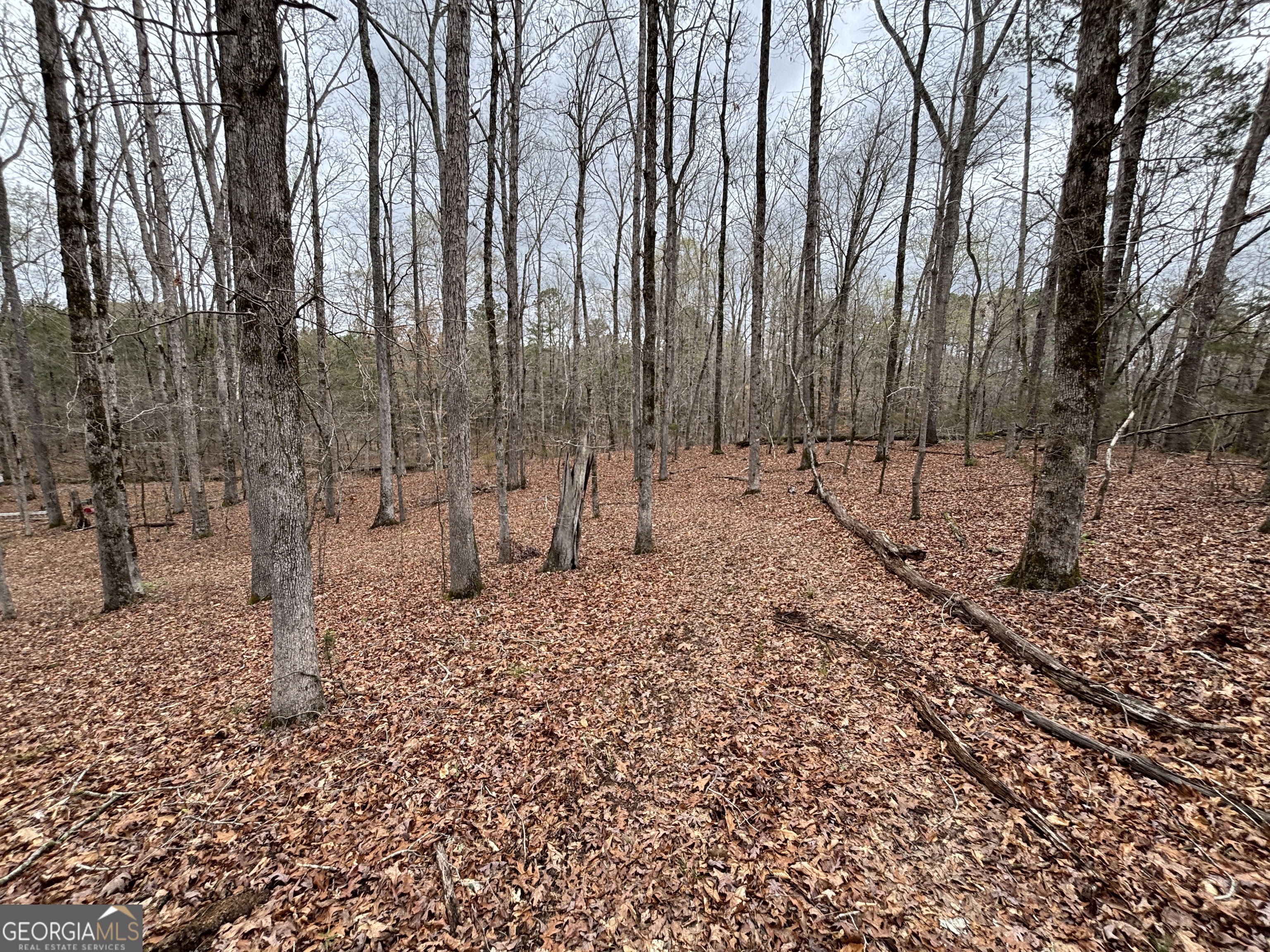 0 Sunset Drive Locust Grove, GA 30248 - Photo 8 of 19