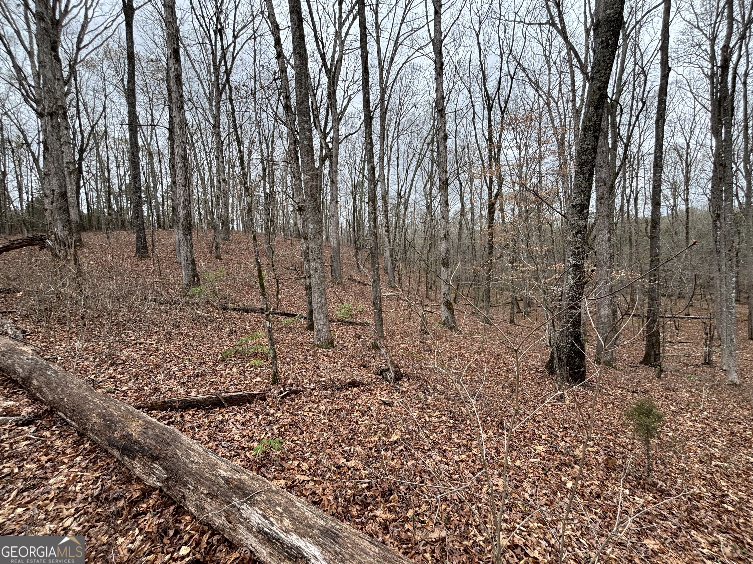 0 Sunset Drive Locust Grove, GA 30248 - Photo 9 of 19