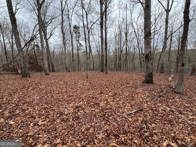 $275,000 | 0 Sunset Drive, Locust Grove, GA 30248