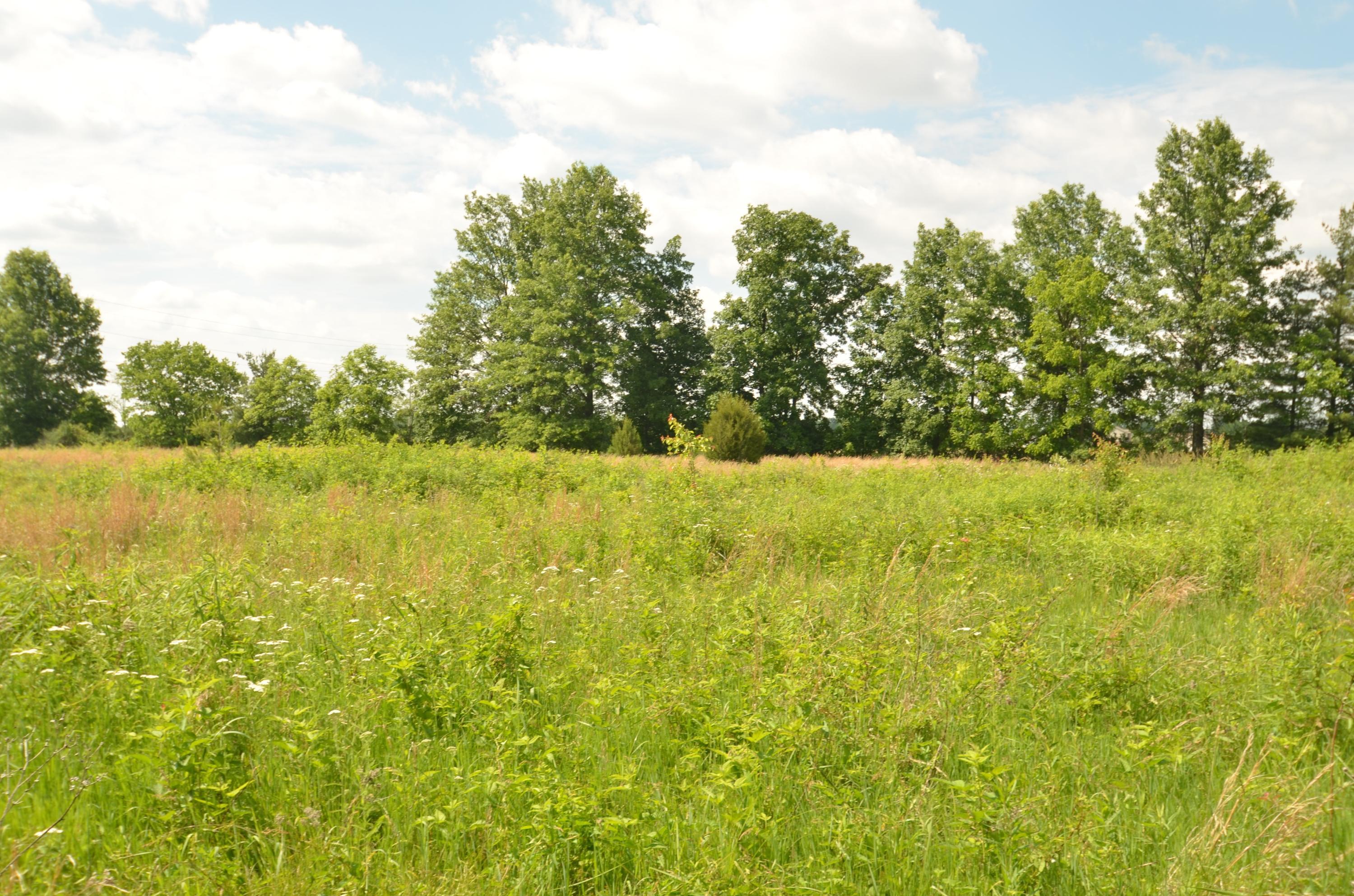 5106 Liberty Road Powell, OH 43065 - Photo 2 of 3