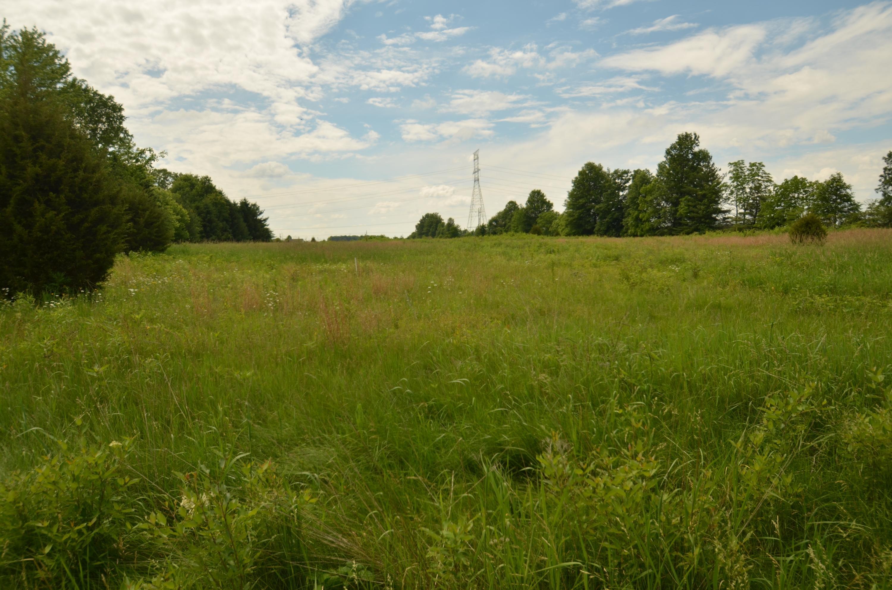 5106 Liberty Road Powell, OH 43065 - Photo 3 of 3