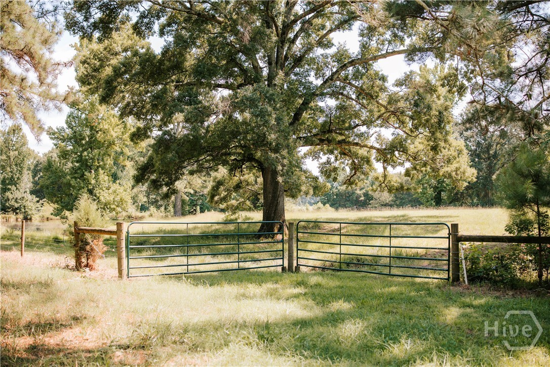 6 Burt Road Carlton, GA 30627 - Photo 42 of 58 Gallery Image 42