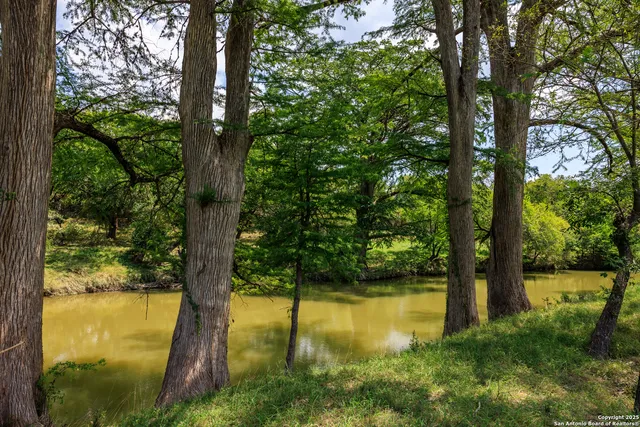 a view of lake background with trees