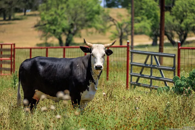 a view of a lake view