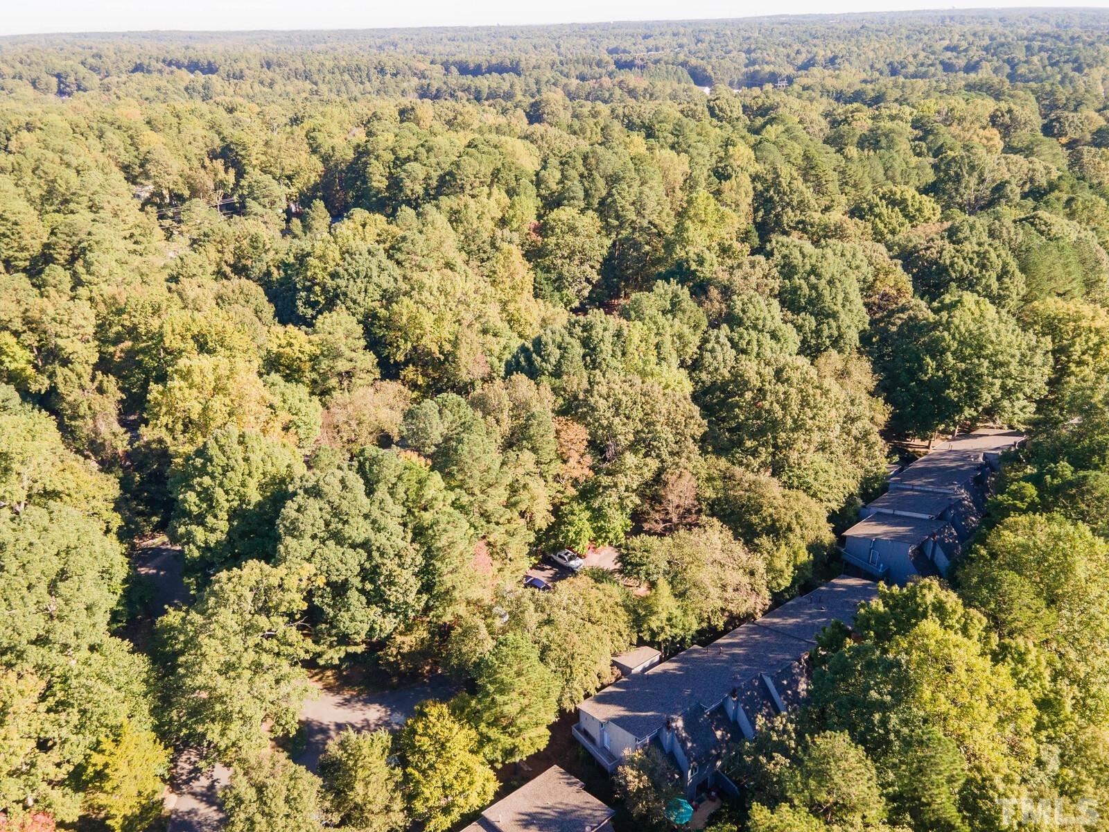 4353 Sunscape Lane Raleigh, NC 27613 - Photo 30 of 30 view of city and mountain