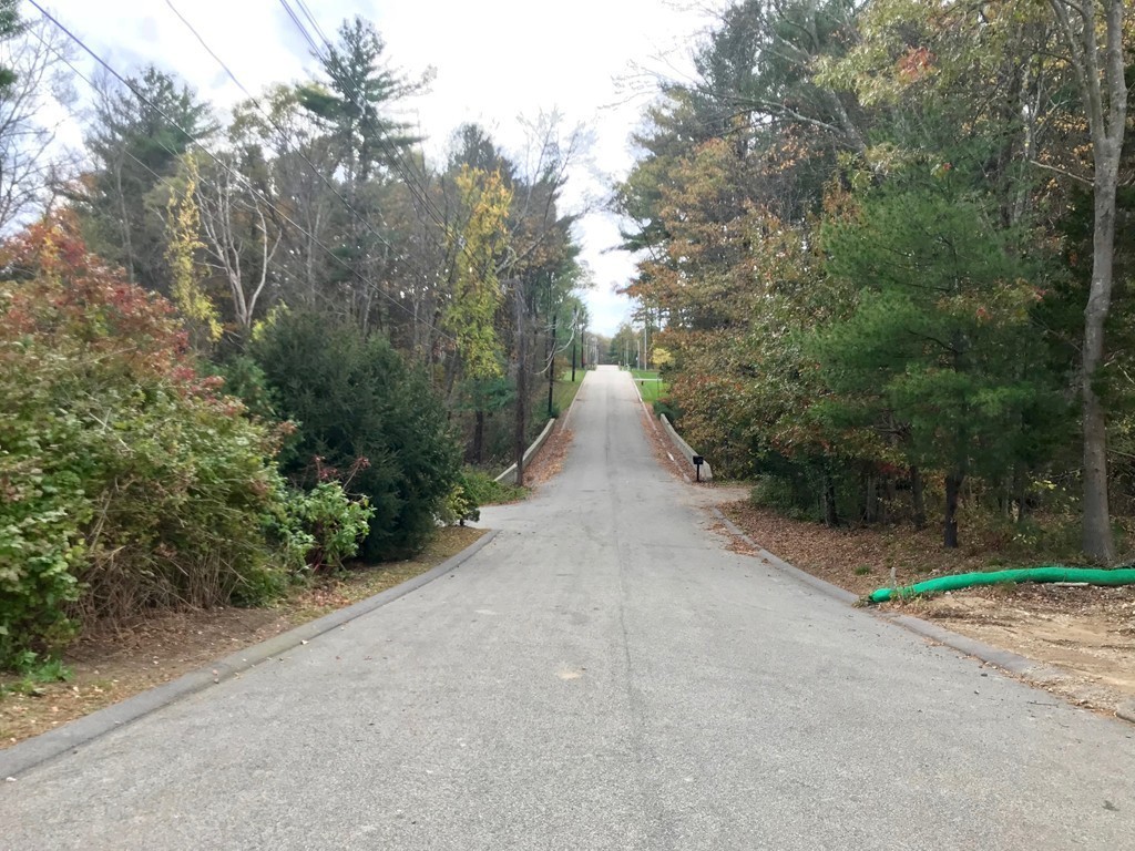 22 Tracywood Road Canton, MA 02021 - Photo 23 of 28 a view of a road with plants and trees