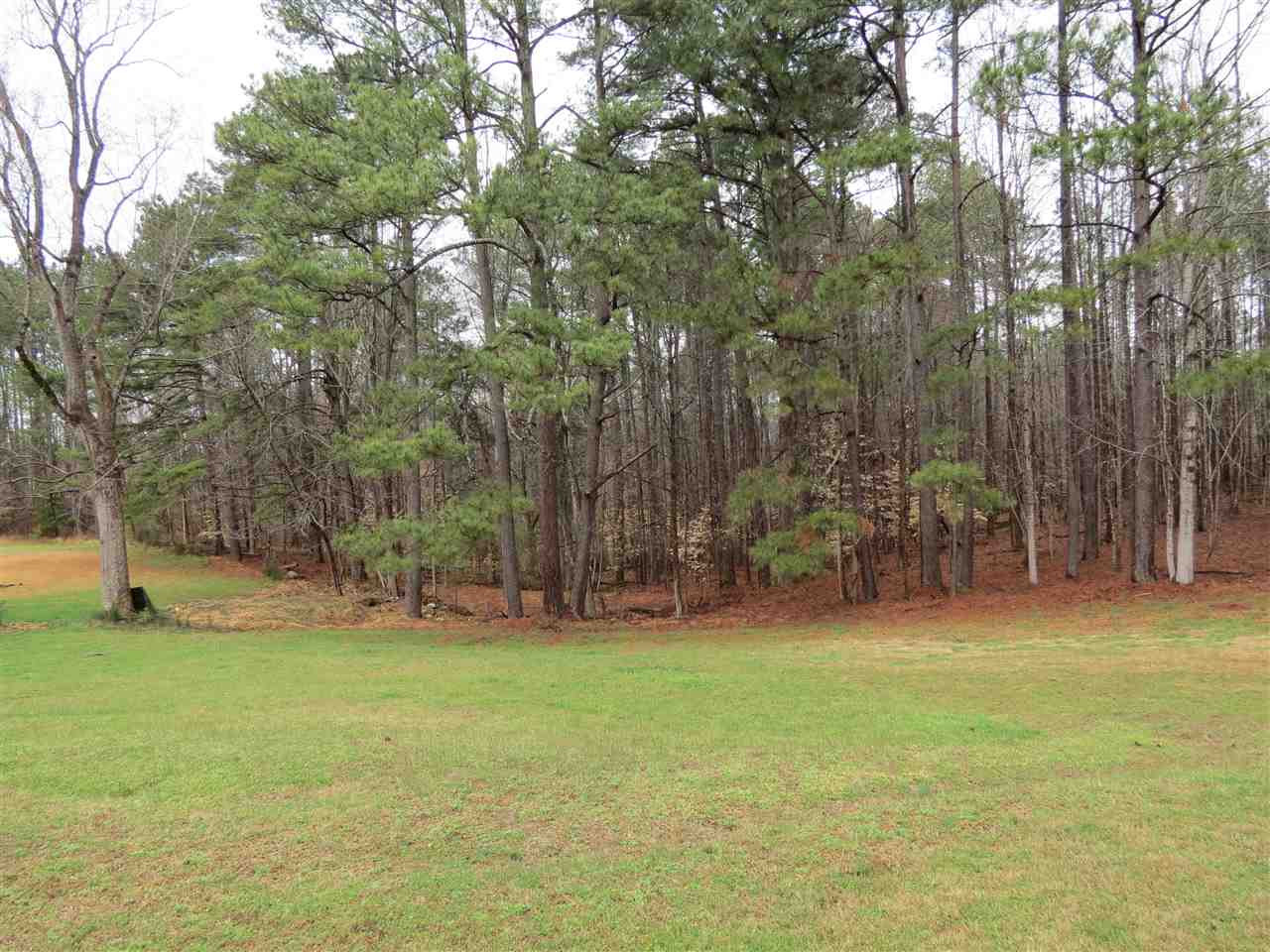 12924 Garffe Sherron Road Wake Forest, NC 27587 - Photo 3 of 10 Photo 3