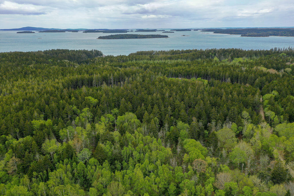 22-2 Eaton Point Road Deer Isle, ME 04627 - Photo 23 of 26 Eaton Point Land