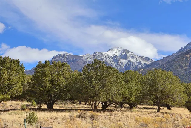 a view of a yard covered with snow