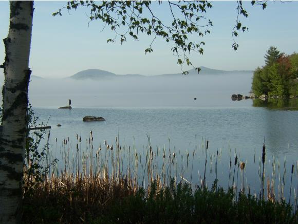 3760 Maidstone Lake Road Maidstone, VT 05905 - Photo 11 of 15