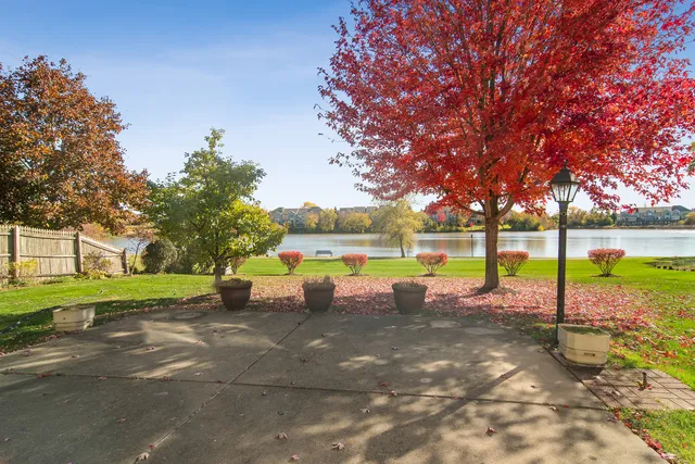 a view of a park with large trees