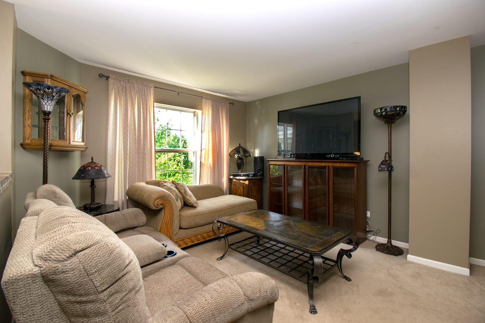 34381 North Barberry Road Round Lake, IL 60073 - Photo 3 of 14
