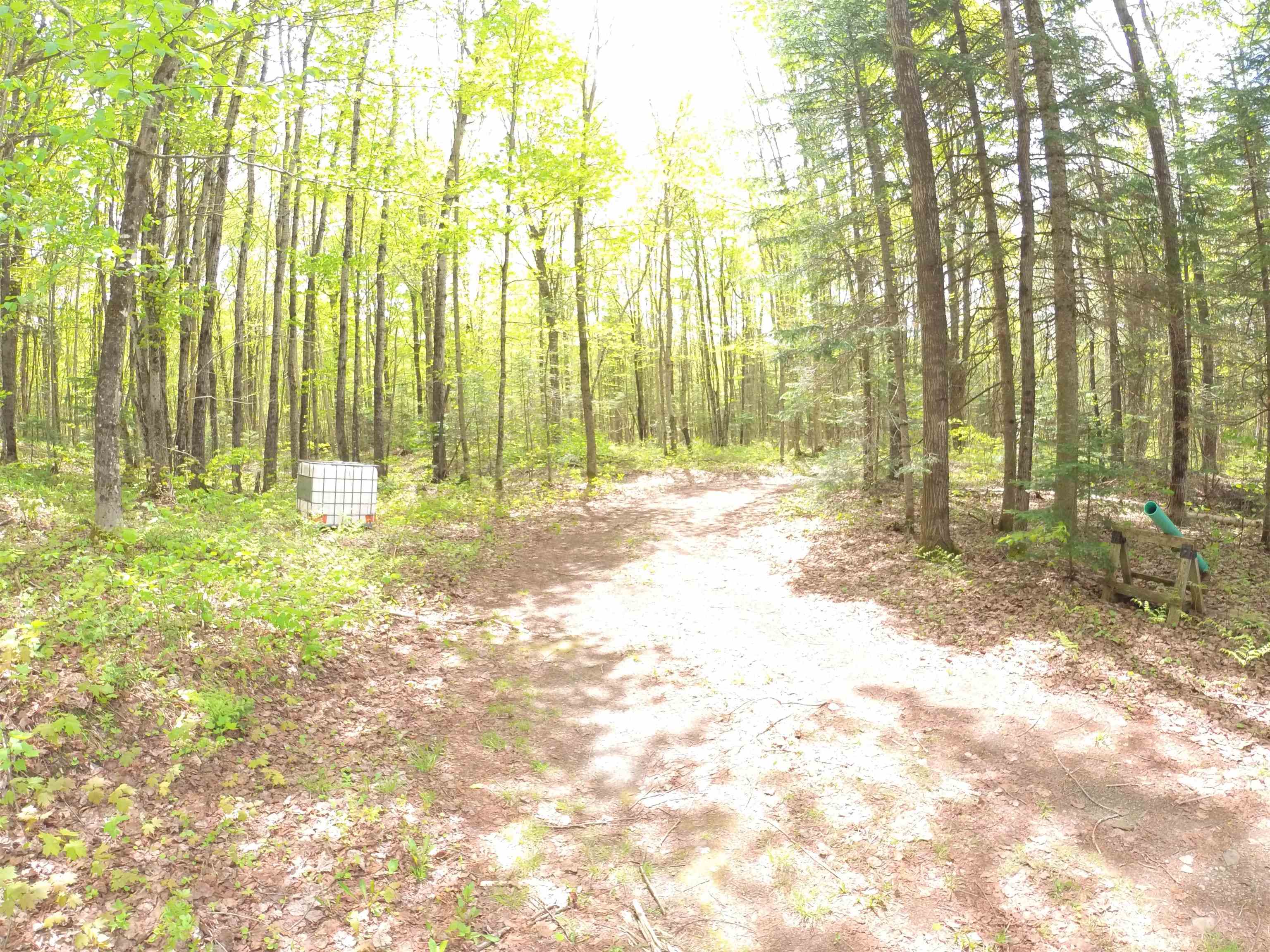 763 Hunting Camp Road Holland, VT 05830 - Photo 7 of 36