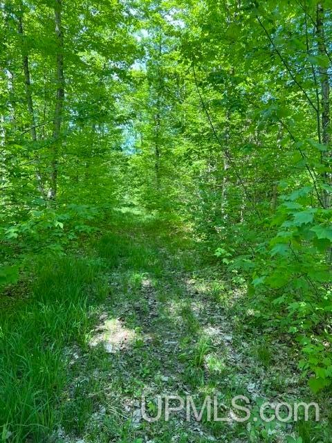 54335 Gay Road Lake Linden, MI 49945 - Photo 34 of 41