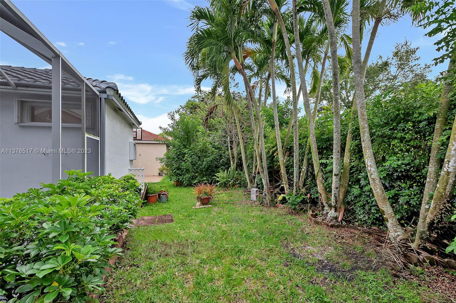 4115 Sabal Ridge Circle Weston, FL 33331 - Photo 17 of 31 a view of a backyard with potted plants and large tree