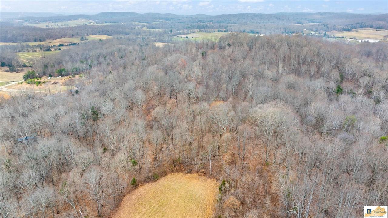1266 Campground Road Bonnieville, KY 42713 - Photo 18 of 37 Gallery Image 18