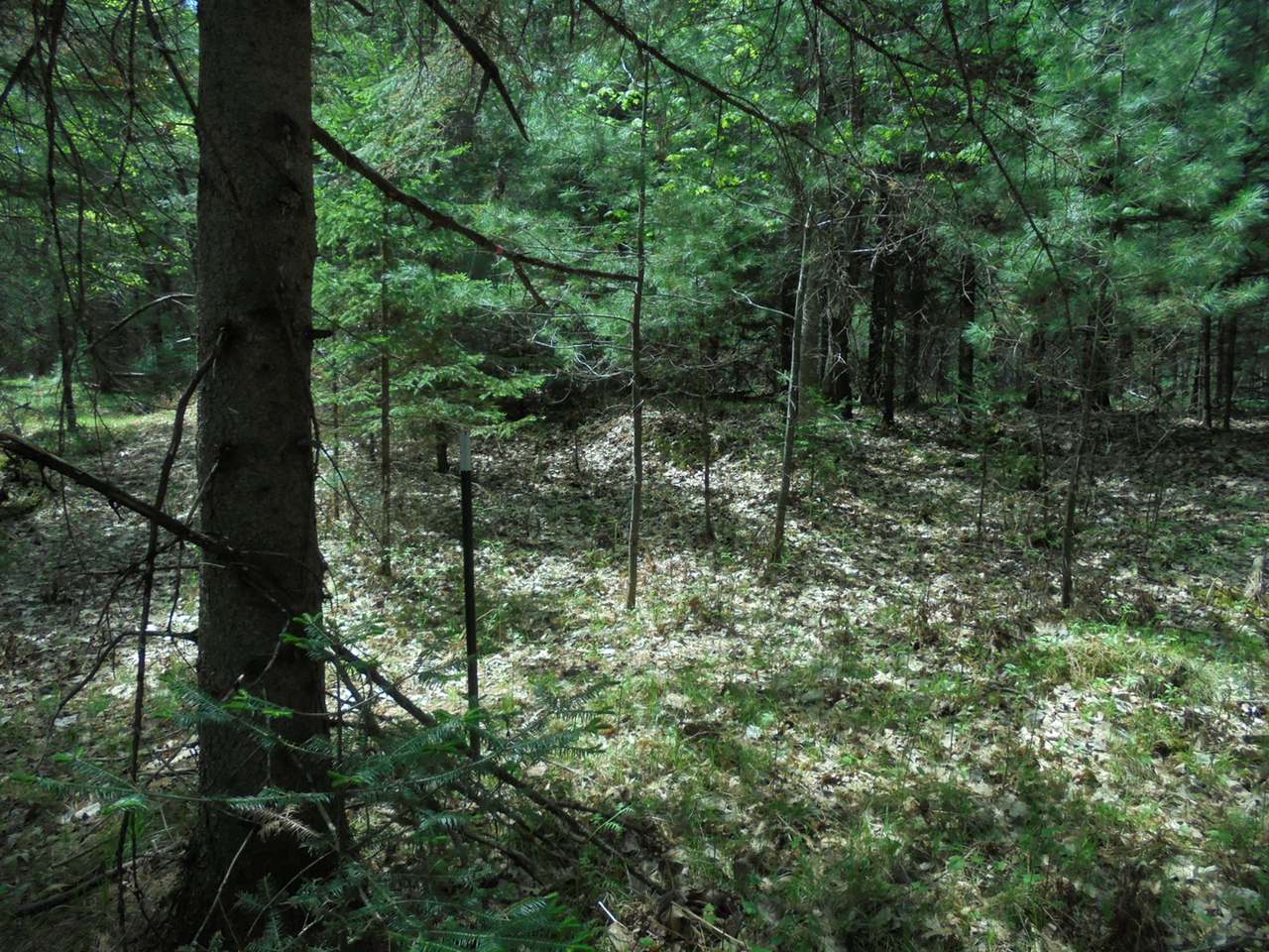 5456 Creek Road Eagle River, WI 54521 - Photo 12 of 22 Gallery Image 12