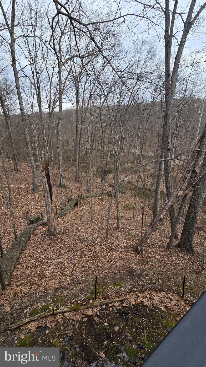 274 3 Oaks Drive Gore, VA 22637 - Photo 20 of 21