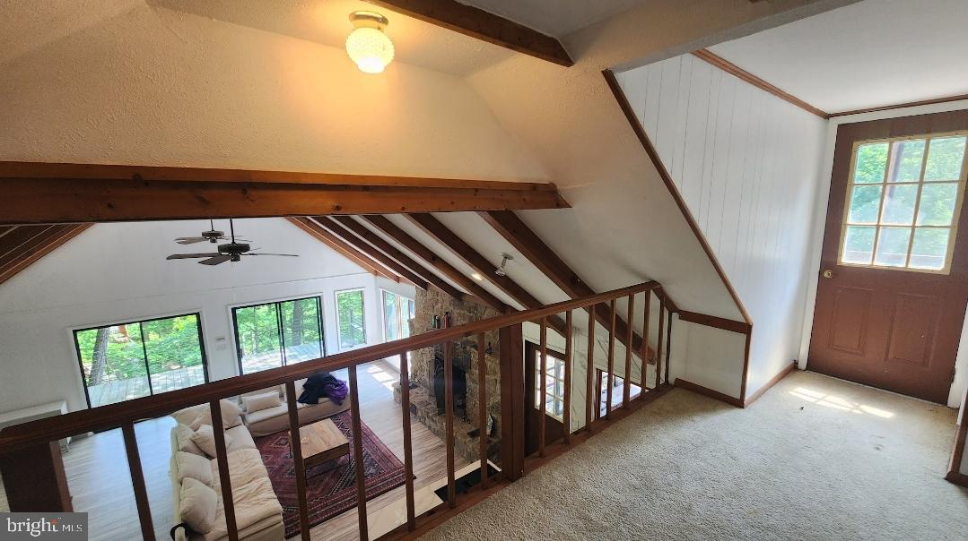 274 3 Oaks Drive Gore, VA 22637 - Photo 9 of 21