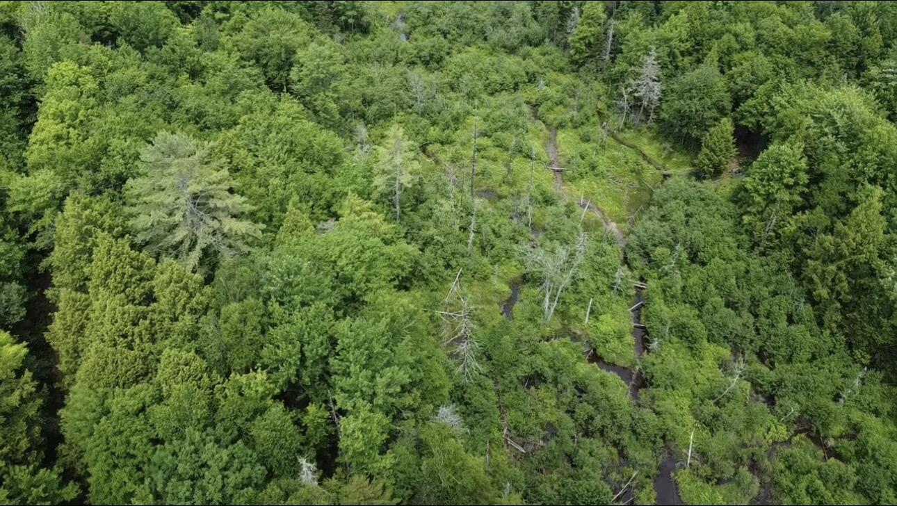 Lot 14 Hanslip Road Wilton, ME 04294 - Photo 6 of 11