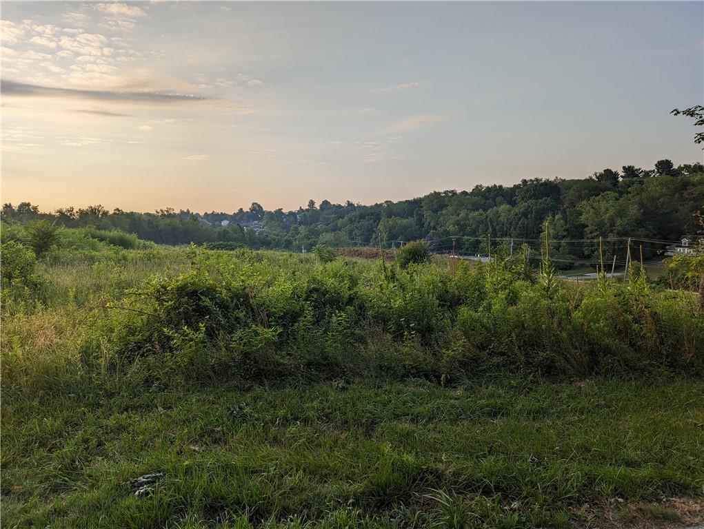 0 Dry Run Road Monongahela, PA 15063 - Photo 7 of 9 a view of a lush green outdoor space with a lake view and mountain view