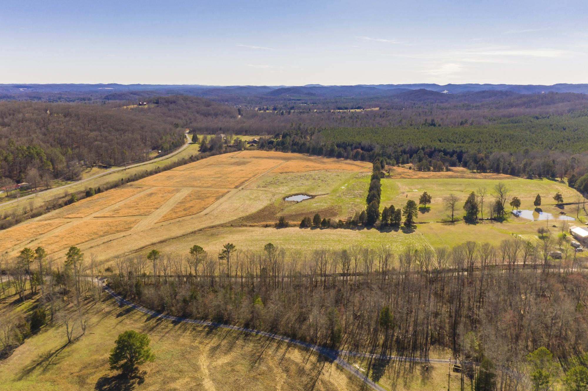 3 Northwest No Pone Road Georgetown, TN 37336 - Photo 2 of 10
