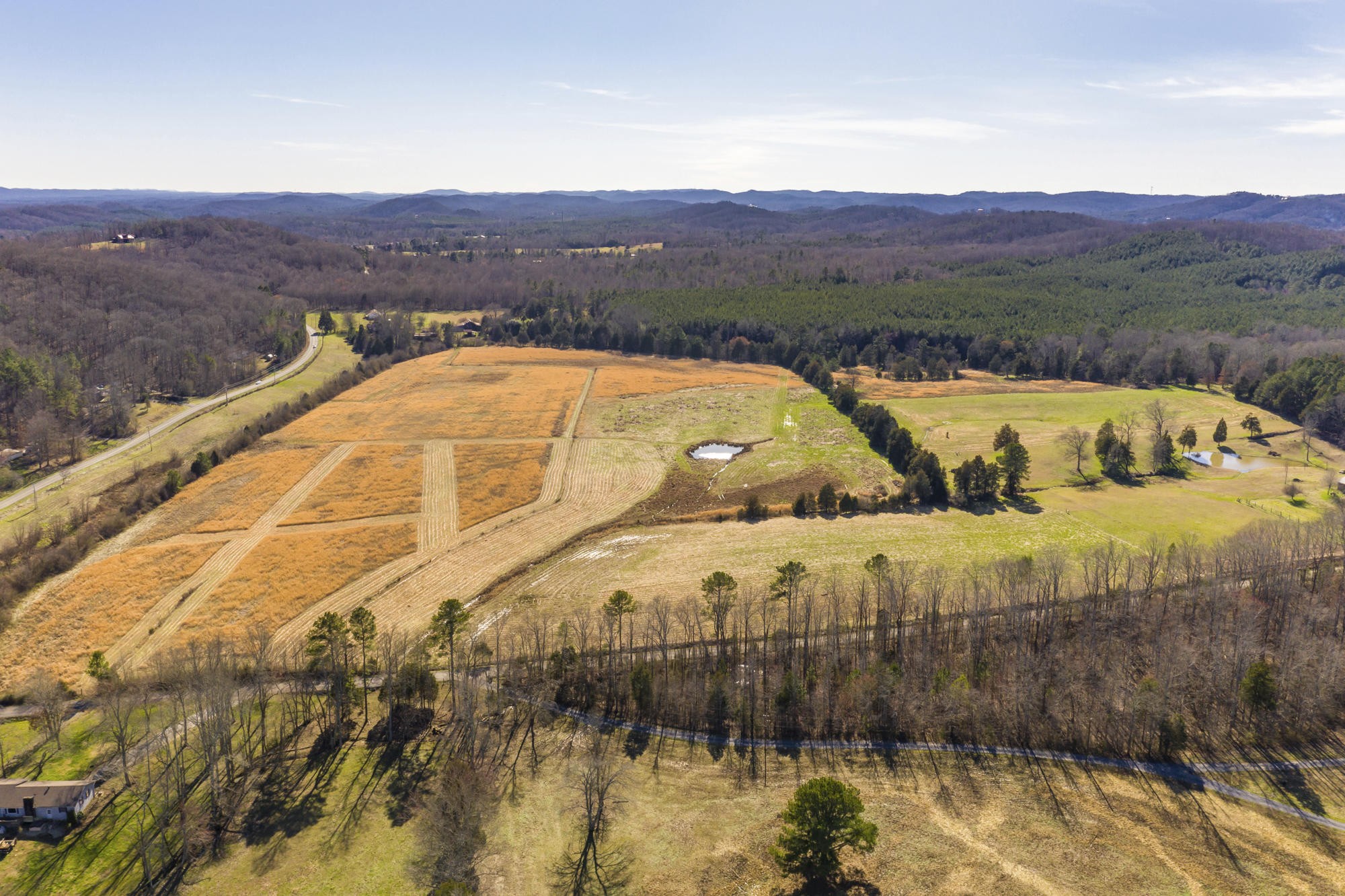 3 Northwest No Pone Road Georgetown, TN 37336 - Photo 10 of 10