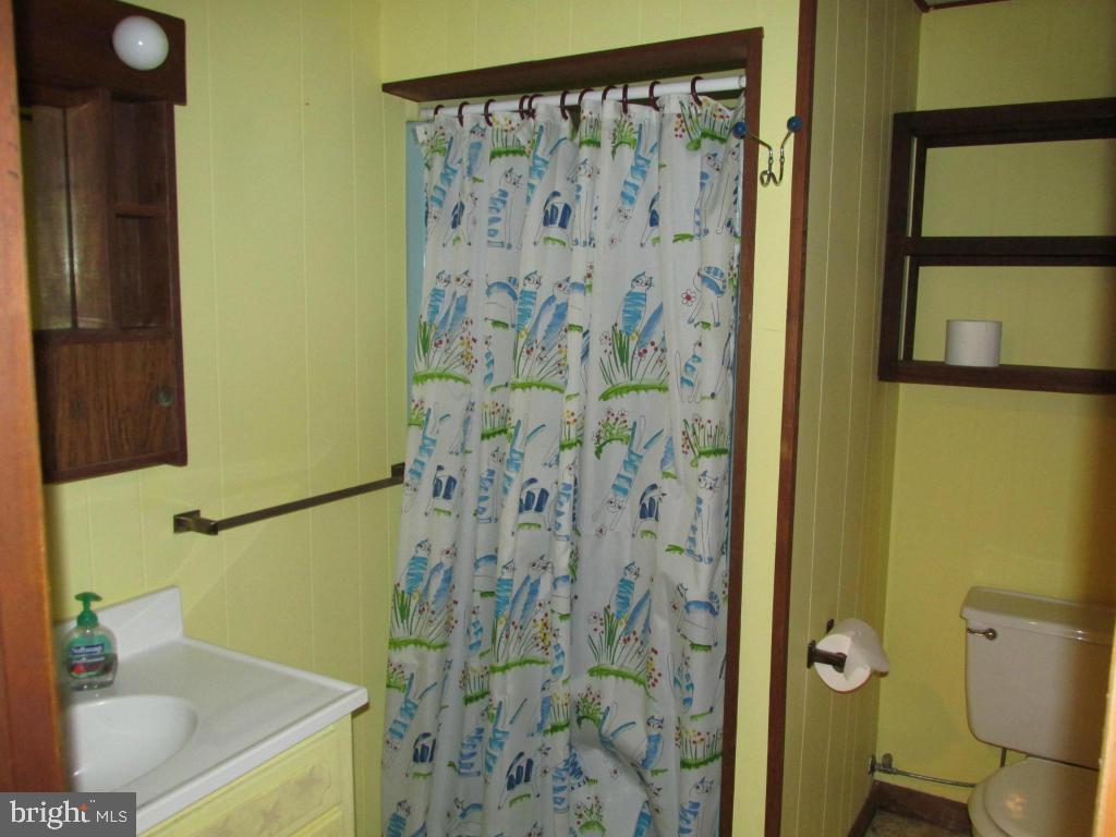1161 Cider Press Road Manheim, PA 17545 - Photo 28 of 56 a bathroom with a sink and a shower curtain