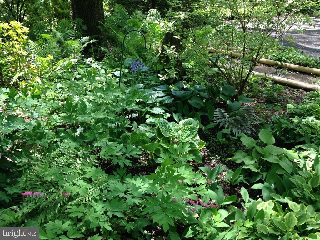 1161 Cider Press Road Manheim, PA 17545 - Photo 42 of 56 a view of a plant