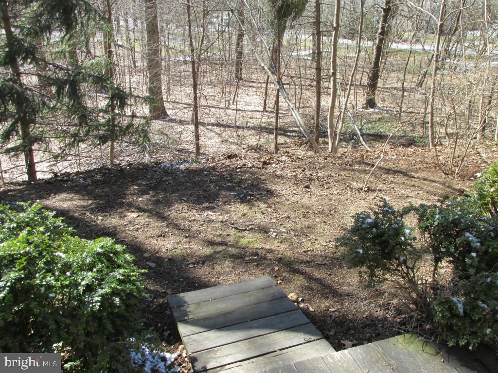 1161 Cider Press Road Manheim, PA 17545 - Photo 45 of 56 a view of house with yard