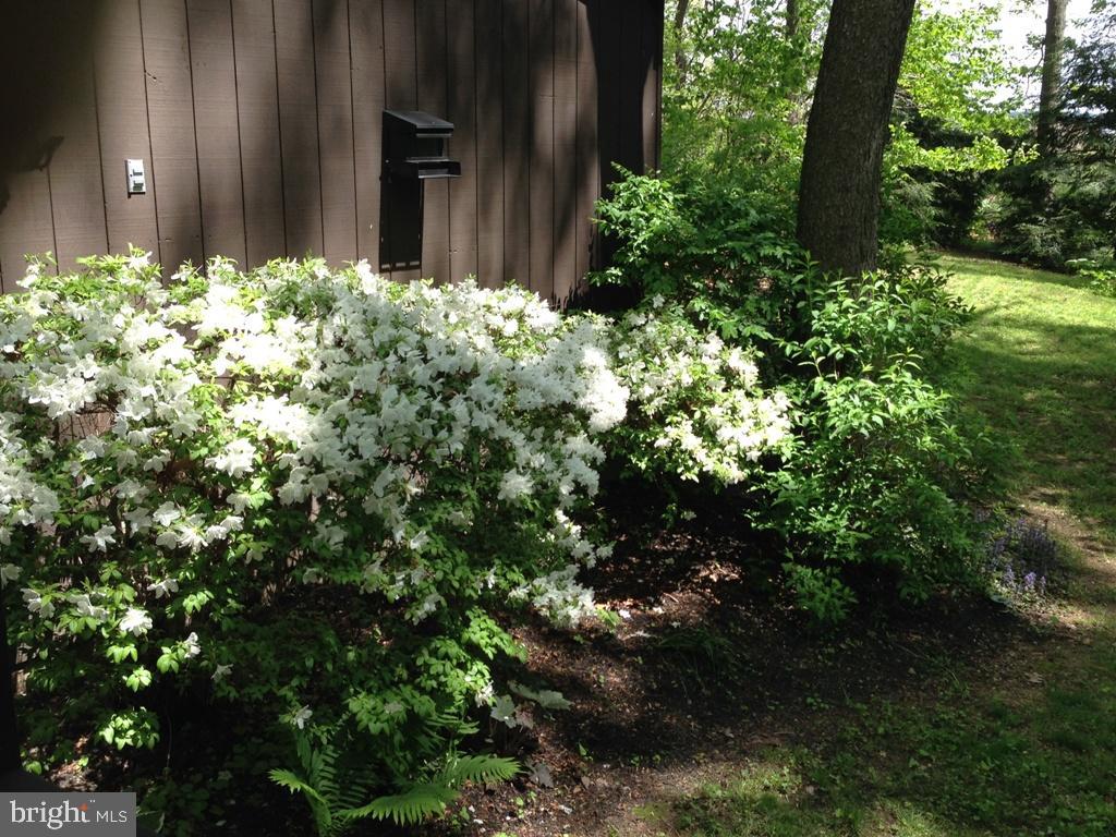 1161 Cider Press Road Manheim, PA 17545 - Photo 46 of 56 a view of a house with a flower garden