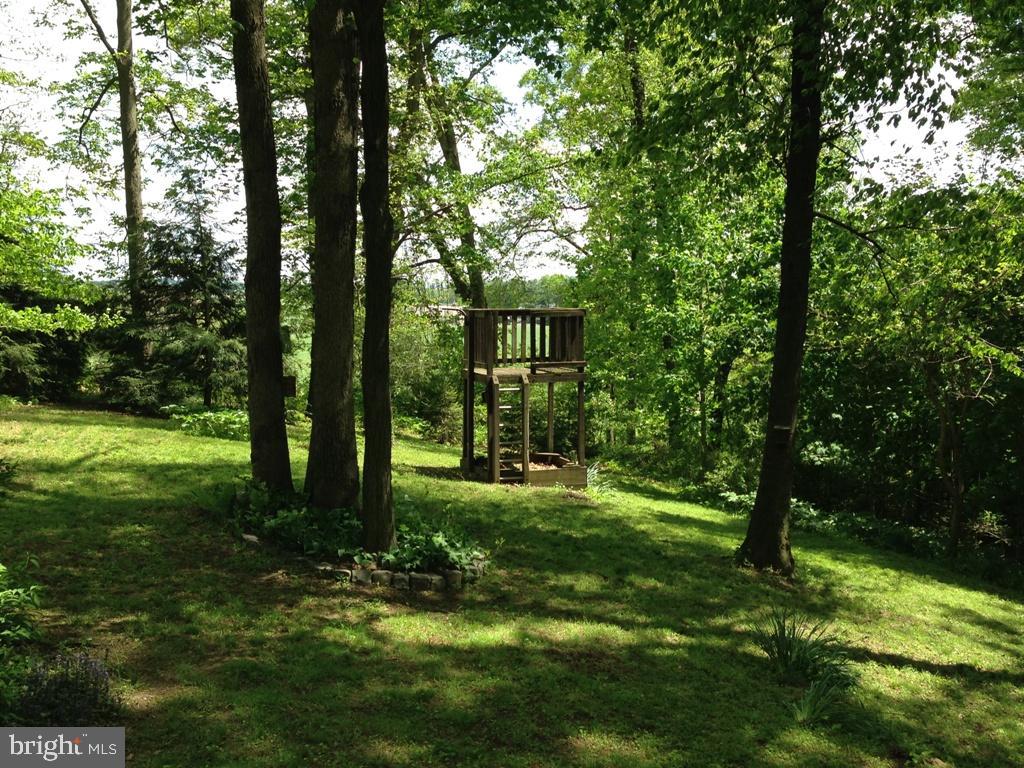 1161 Cider Press Road Manheim, PA 17545 - Photo 50 of 56 a view of a big yard with plants and large trees